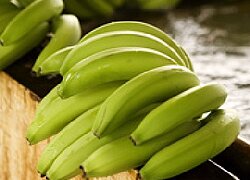 Die Bananenkooperative AGROTALLAN in Peru