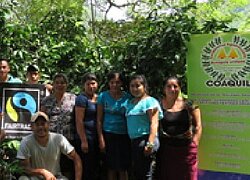 Die Kaffeekooperative COAQUIL in Honduras