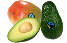 Fairtrade-Avocados und -Mangos von Eosta