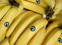 Fairtrade-Bio-Bananen „Bio Organic