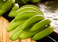 Bananen der Kooperative APPBOSA