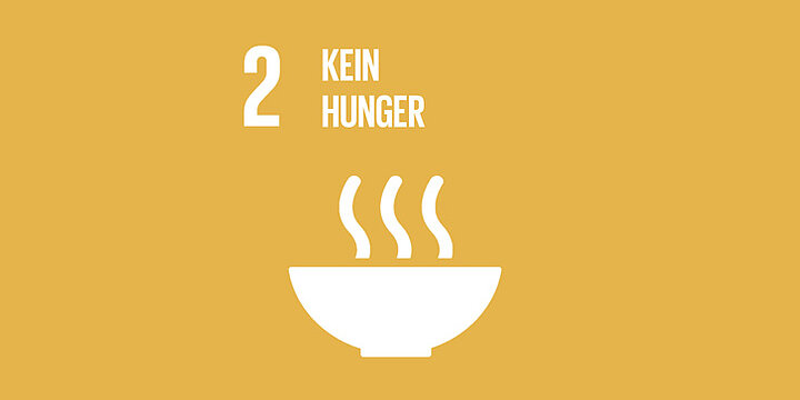 Icon SDG 2  - Hunger
